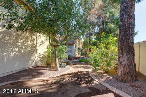 1113 E Cullumber St, Gilbert, AZ 85234 photo 39