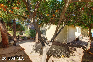 1113 E Cullumber St, Gilbert, AZ 85234 photo 38