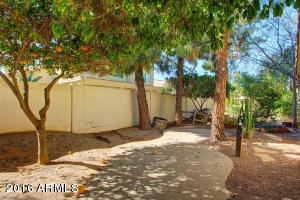 1113 E Cullumber St, Gilbert, AZ 85234 photo 37