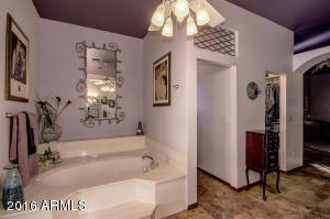 198 N Sierra Ct, Gilbert, AZ 85234 photo 48