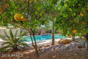 198 N Sierra Ct, Gilbert, AZ 85234 photo 77