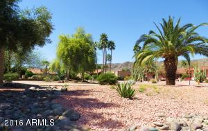 3813 E Nowata Dr, Phoenix, AZ 85044 photo 17