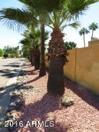 3813 E Nowata Dr, Phoenix, AZ 85044 photo 16