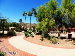 3813 E Nowata Dr, Phoenix, AZ 85044 photo 10