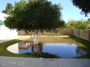 2043 E Kael Cir, Mesa, AZ 85213 photo 48