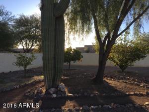 10531 Evergreen St, Mesa, AZ 85207 photo 24