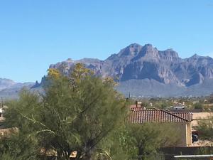 10531 Evergreen St, Mesa, AZ 85207 photo 31