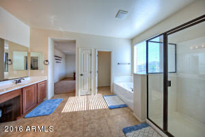 10965 E Quade Ave, Mesa, AZ 85212 photo 20