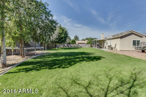 2955 E Leonora Cir, Mesa, AZ 85213 photo 58