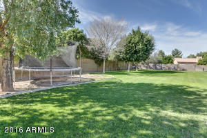 2955 E Leonora Cir, Mesa, AZ 85213 photo 56
