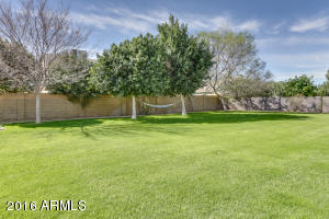 2955 E Leonora Cir, Mesa, AZ 85213 photo 57