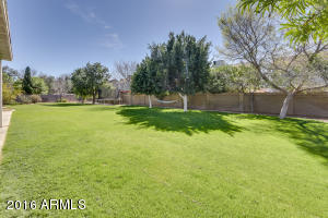 2955 E Leonora Cir, Mesa, AZ 85213 photo 52