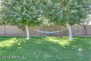 2955 E Leonora Cir, Mesa, AZ 85213 photo 54