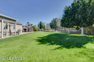 2955 E Leonora Cir, Mesa, AZ 85213 photo 59