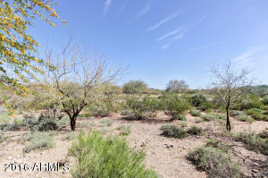 31723 N 22nd Ln, Phoenix, AZ 85085 photo 33
