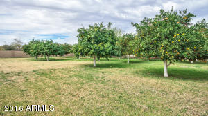3297 E Vallejo Ct, Gilbert, AZ 85298 photo 51