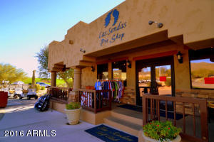 7445 Eagle Crest Dr #1061, Mesa, AZ 85207 photo 42