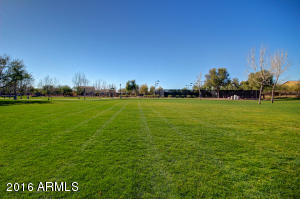 972 Euclid Ave, Gilbert, AZ 85297 photo 52