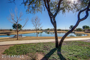 972 Euclid Ave, Gilbert, AZ 85297 photo 59