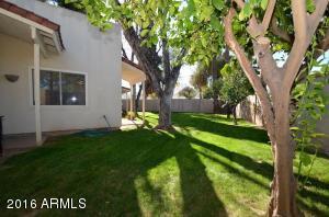 3253 E Glenrosa Ave, Phoenix, AZ 85018 photo 26