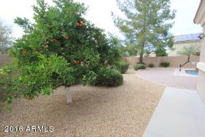 3064 E Huber St, Mesa, AZ 85213 photo 79