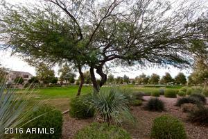 3064 E Huber St, Mesa, AZ 85213 photo 82