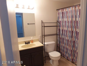 3807 E Pershing Ave, Phoenix, AZ 85032 photo 8