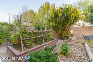 1063 E Shannon Ct, Gilbert, AZ 85295 photo 51