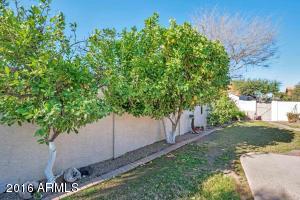 5649 E Huber St, Mesa, AZ 85205 photo 21