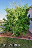 5649 E Huber St, Mesa, AZ 85205 photo 23