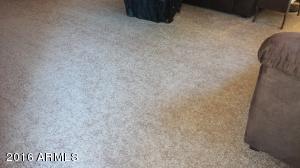 1540 El Parque Dr, Tempe, AZ 85282 photo 24