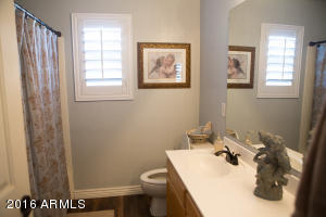 2501 E Shannon St, Gilbert, AZ 85295 photo 21