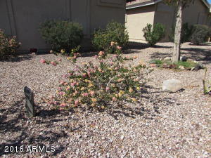 655 S 233rd Dr, Buckeye, AZ 85326 photo 13