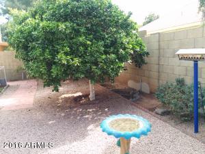 1355 E Page Ave, Gilbert, AZ 85234 photo 16