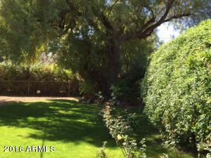 8620 N 12th Ave, Phoenix, AZ 85021 photo 13
