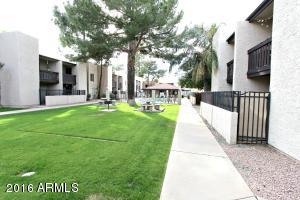 1927 E Hampton Ave #133, Mesa, AZ 85204 photo 10