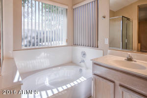 2259 E San Tan Dr, Gilbert, AZ 85296 photo 16