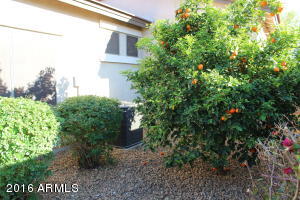 7630 E Boston St, Mesa, AZ 85207 photo 18