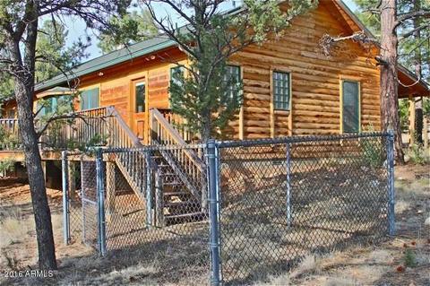 3321 Lodgepole Rd, Overgaard, AZ 85933 photo 36