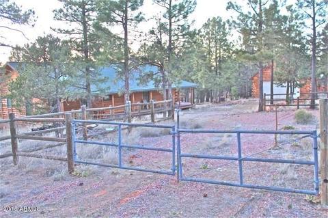3321 Lodgepole Rd, Overgaard, AZ 85933 photo 39
