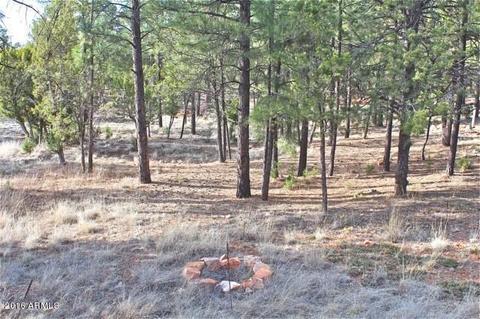 3321 Lodgepole Rd, Overgaard, AZ 85933 photo 33