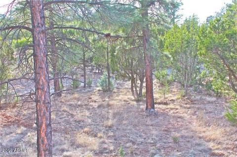3321 Lodgepole Rd, Overgaard, AZ 85933 photo 34