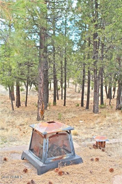 3321 Lodgepole Rd, Overgaard, AZ 85933 photo 32