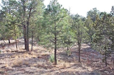 3321 Lodgepole Rd, Overgaard, AZ 85933 photo 35