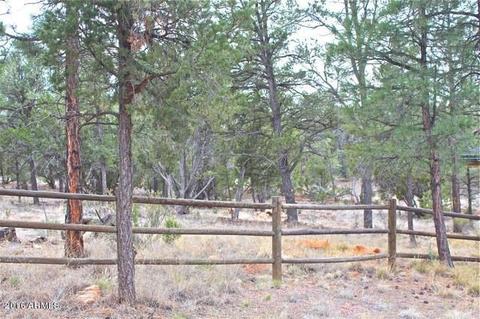 3321 Lodgepole Rd, Overgaard, AZ 85933 photo 31