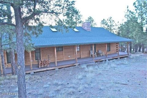 3321 Lodgepole Rd, Overgaard, AZ 85933 photo 52