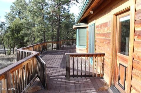 3321 Lodgepole Rd, Overgaard, AZ 85933 photo 29