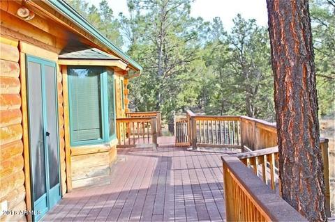 3321 Lodgepole Rd, Overgaard, AZ 85933 photo 28