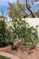 5838 E Jasmine St, Mesa, AZ 85205 photo 26