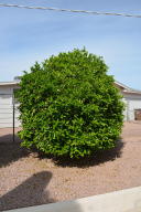 910 S Ocotillo Dr, Apache Junction, AZ 85120 photo 27